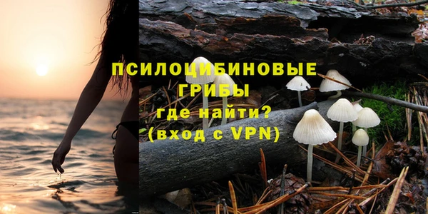 ПСИЛОЦИБИНОВЫЕ ГРИБЫ Нефтегорск