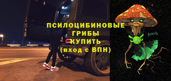 ПСИЛОЦИБИНОВЫЕ ГРИБЫ Нефтегорск