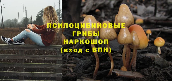 ПСИЛОЦИБИНОВЫЕ ГРИБЫ Нефтегорск
