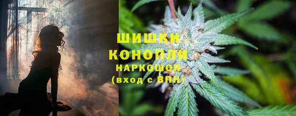 ПСИЛОЦИБИНОВЫЕ ГРИБЫ Нефтегорск