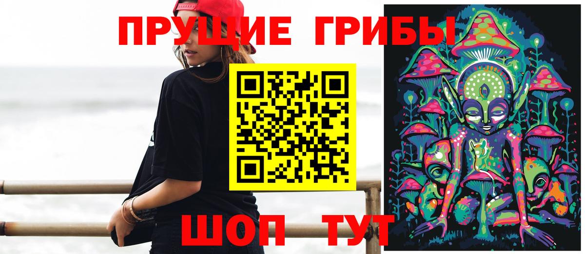 Галлюциногенные грибы Psilocybine cubensis  Галлюциногенные грибы GOLDEN TEACHER  Вход с VPN  Павловский Посад 